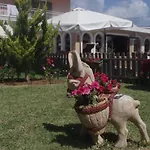 Hotel Seabird 3*