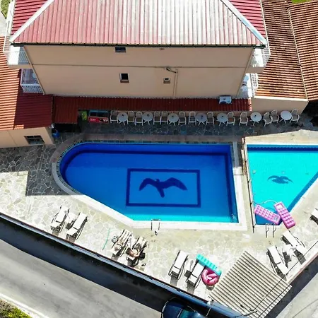 Seabird Hotell